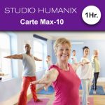 Carte Max-10